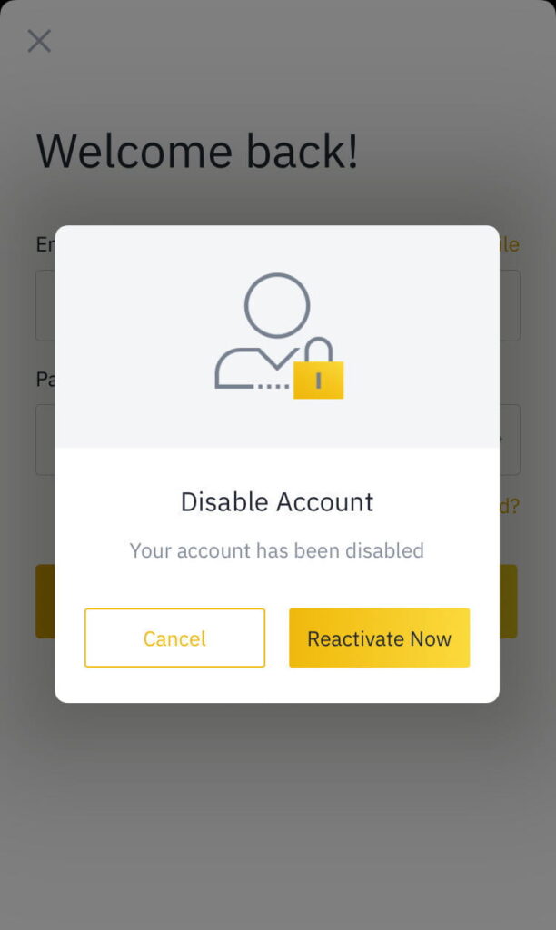خرید VPN آی پی ثابت برای ترید + 5 نکته مهم